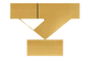 YTF Coach Portal